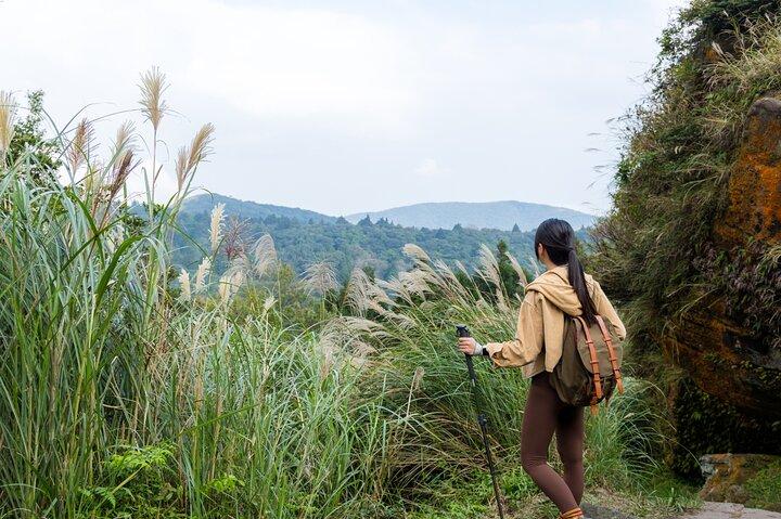 Excursion d'une demi-journée à Yangmingshan à Taipei