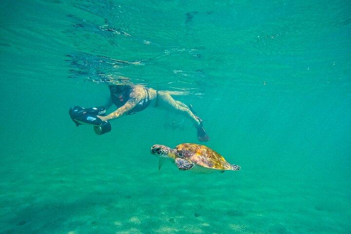 Jet Snorkeling a Porto Rico con tartarughe e video a San Juan