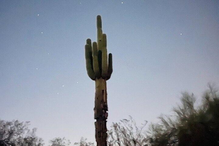 Caminhada noturna na Reserva das Montanhas Phoenix