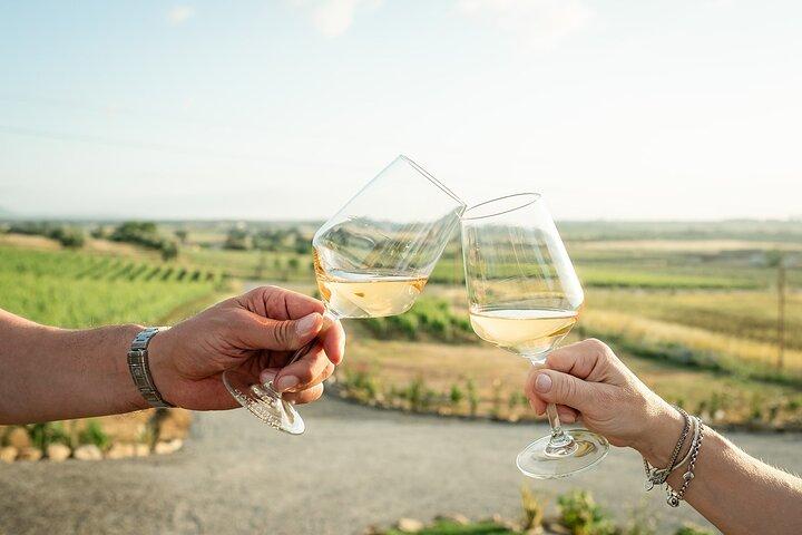 Tour de vinícolas e degustação de vinhos em Maremma - Grosseto