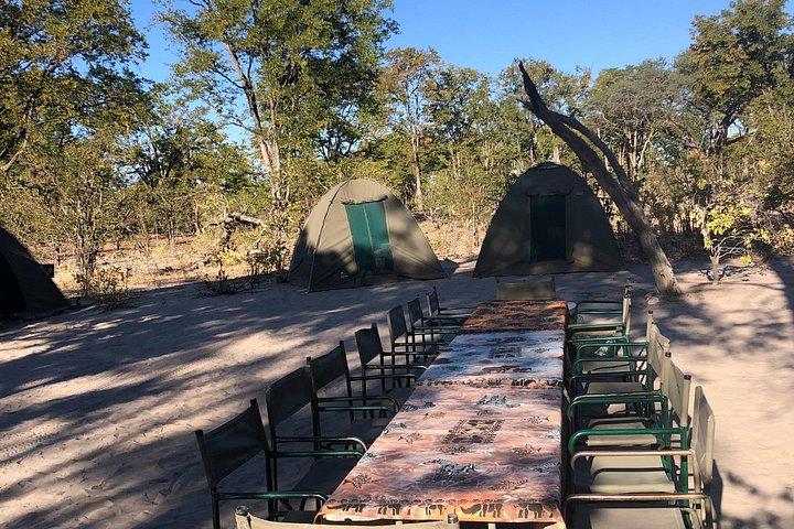 Overnight Mokoro Experience in the Okavango Delta