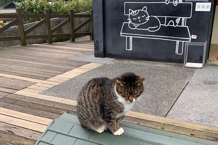 九份、十分、猴硐猫村プライベートツアー