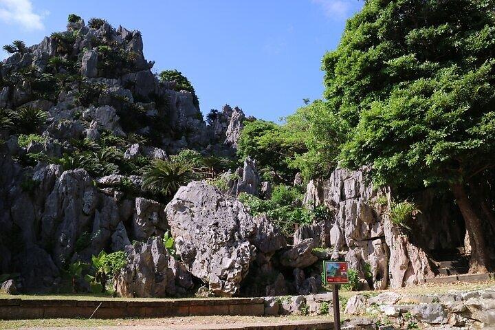 Okinawa HIP-HOP BUS C Course Tour to Northern Island