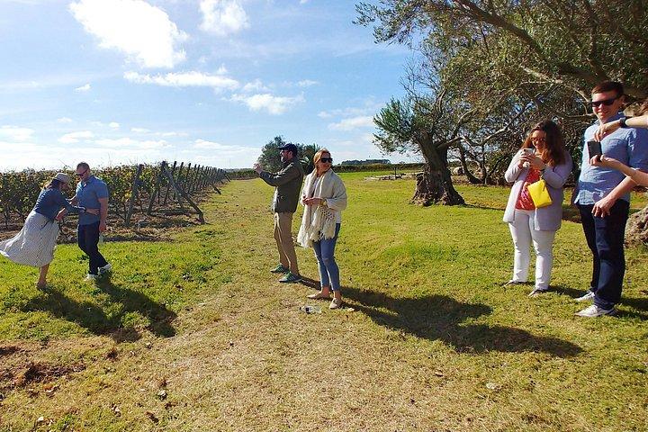 The Best MVD: 2 Wineries visits & lunch, private