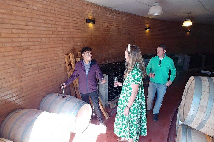 The Best MVD: 2 Wineries visits & lunch, private