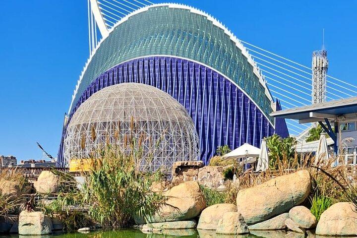 Oferta City Arts and Sciences SEGWAY TOUR