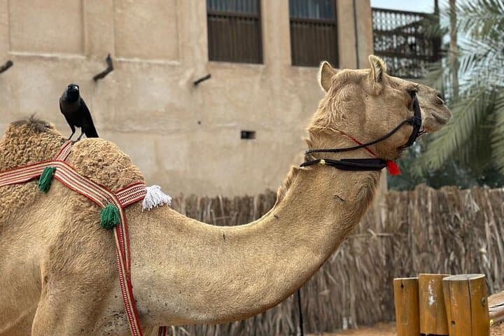 Dubai Old Town Walking Tour with Abra ride, Spice and Gold Souk