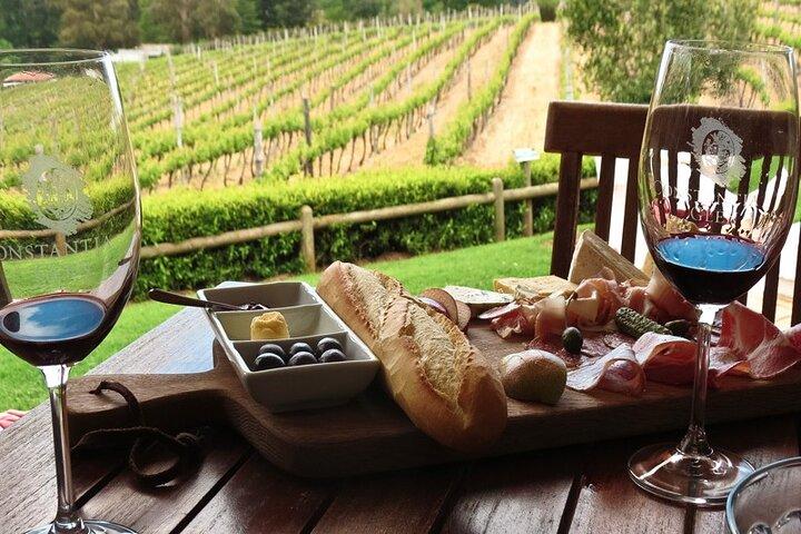 Tour de dégustation de vins Table Mountain & Constantia au Cap