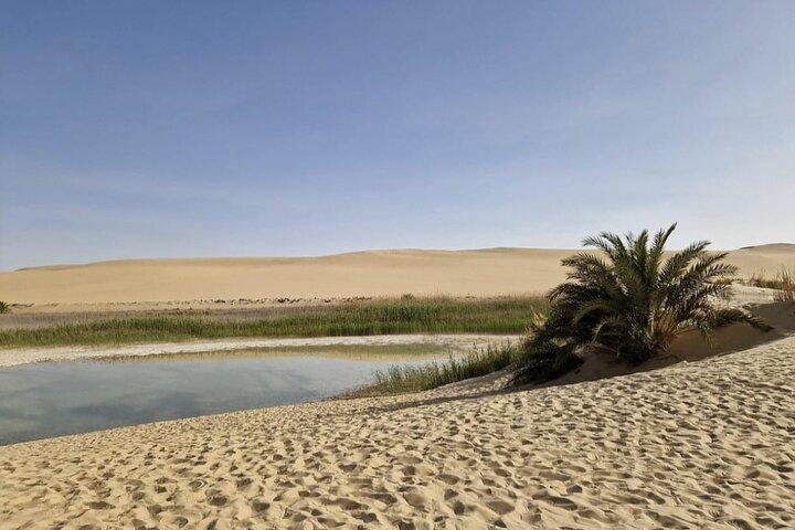 Siwa Oasis All Inclusive Tour vanuit Caïro