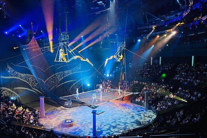 Shanghai Era Acrobatics Show Biglietto