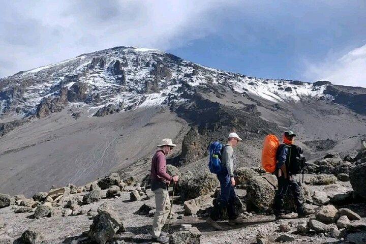A 1-Day Kilimanjaro Hike on Machame Route with Hotel Pickup