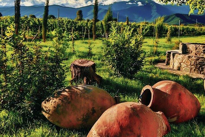 Private Tour von Tiflis nach Kachetien Sighnaghi mit Weinprobe