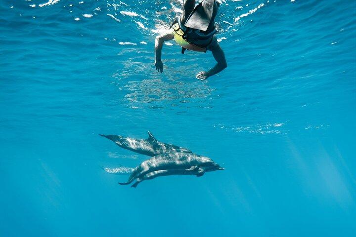 Swim with Dolphins Catamaran with Waterslide & Lunch on Oahu