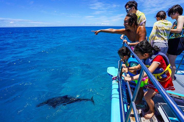Swim with Dolphins Catamaran with Waterslide & Lunch on Oahu