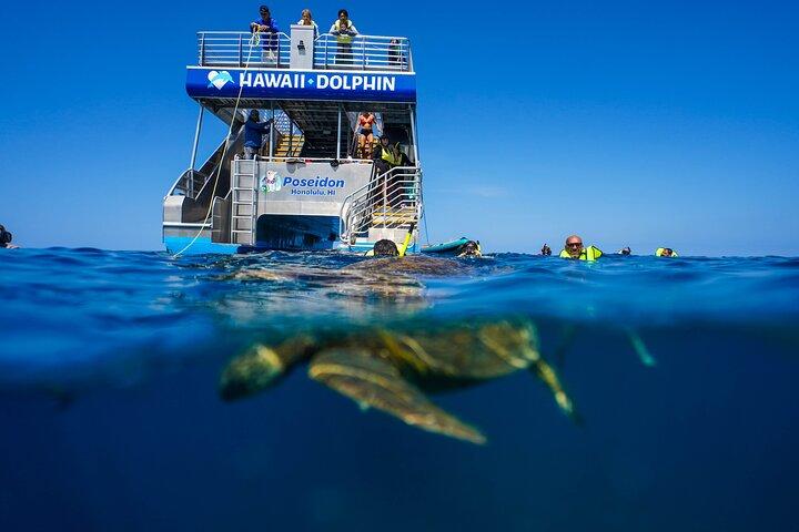 Swim with Dolphins Catamaran with Waterslide & Lunch on Oahu