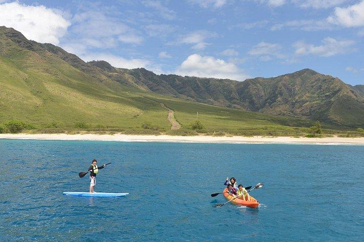 Swim with Dolphins Catamaran with Waterslide & Lunch on Oahu
