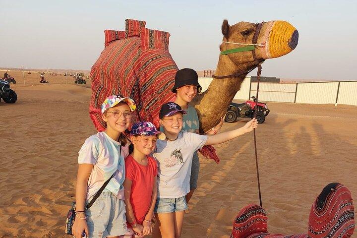 Abendliche Wüstensafari Kamelritt-Abendessen Live-Shows in Abu Dhabi