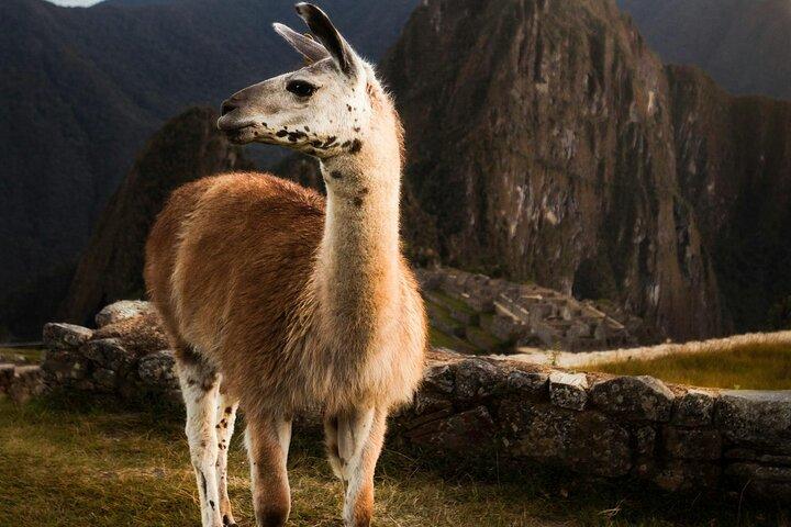 Private Machu Picchu Führung ab Aguas Calientes