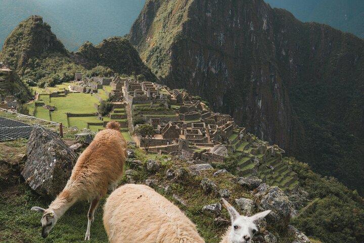 Private Machu Picchu Führung ab Aguas Calientes