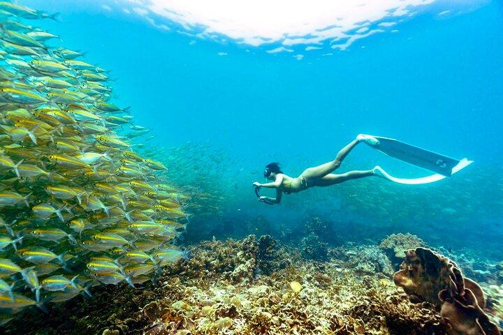 Les meilleurs sites de plongée avec tuba à Koh Tao depuis un bateau en bois vintage