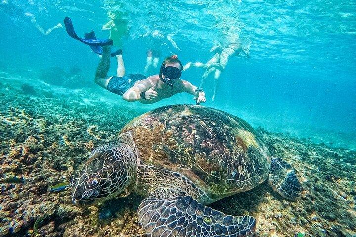 Les meilleurs sites de plongée avec tuba à Koh Tao depuis un bateau en bois vintage
