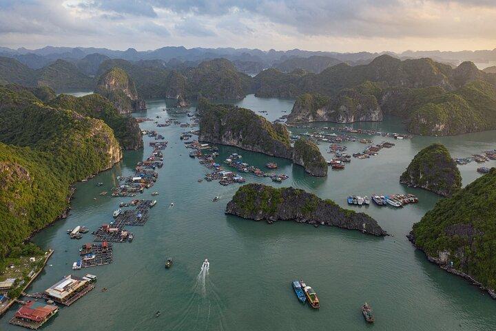 Hanoi: 2-tägige Erkundung des Cat Ba-Nationalparks, der Lan Ha-Bucht, Bootstour