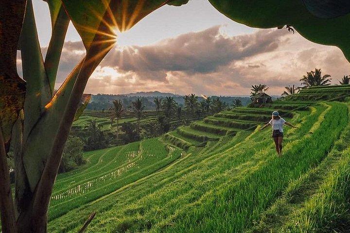 Private 3-day Tour Package: Bali's Top Sights