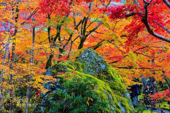 Arashiyama Walking Tour with Optional Sagano Romantic Train Ride