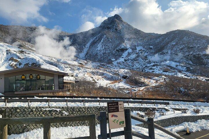 Excursión privada a Hakone desde Tokio