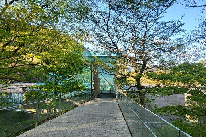 Privé Hakone-tour vanuit Tokio