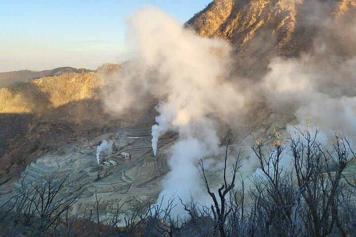 Excursión privada a Hakone desde Tokio