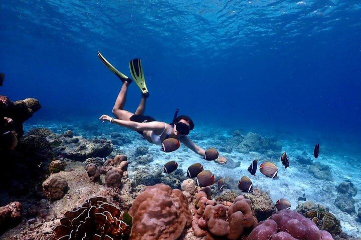 Luie dag Similan snorkelen per speedcatamaran vanuit Khao Lak