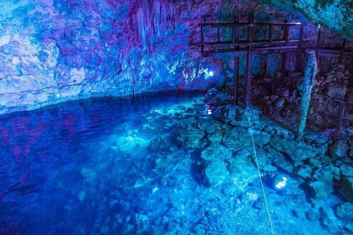 4 Cenotes Full Day Tour from Merida