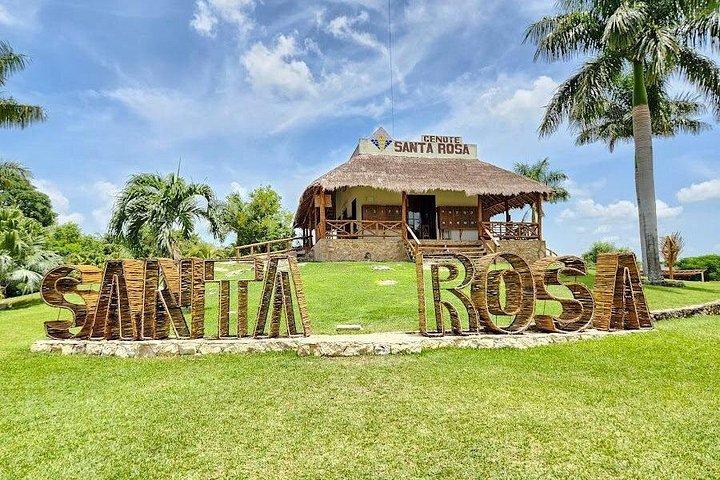 4 Cenotes Full Day Tour from Merida
