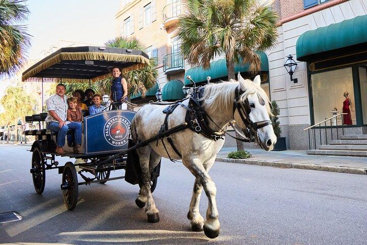 Tour en carruaje tirado por caballos por Charleston : Explora el Charleston histórico