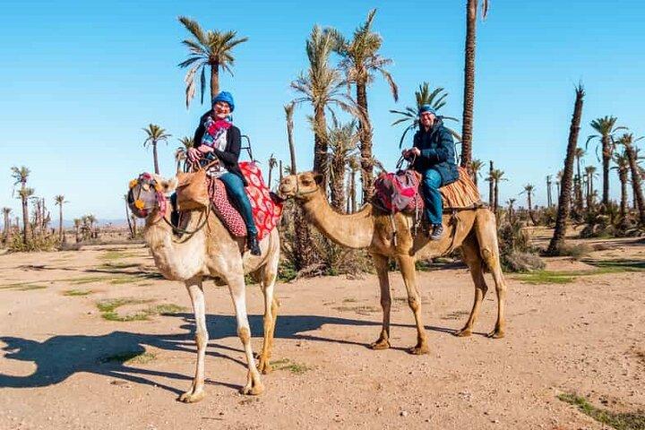 Fyrhjuling och kamelfärd i Marrakech Palmeraie