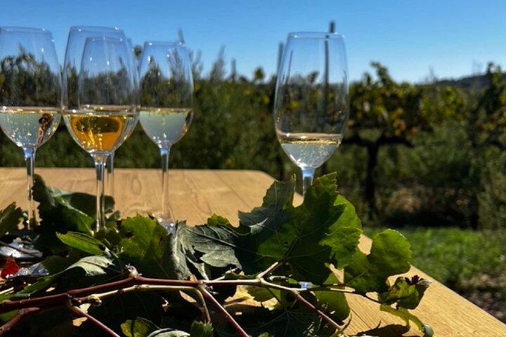 Private Artisanal Winery Visit with Wine Tasting from Sitges