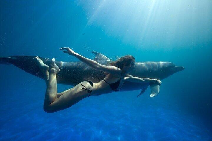 The only Natural Space Dolphin Encounter in Cabo Optional Pickup!