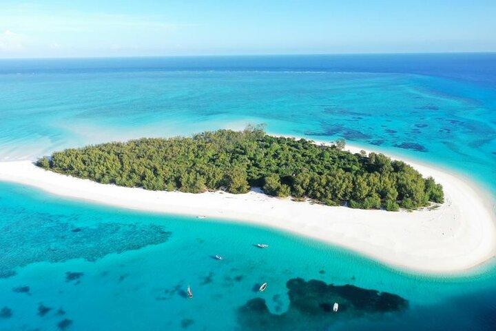 Mnemba Island Atoll Tour – snorkelen & dolfijnen ervaring
