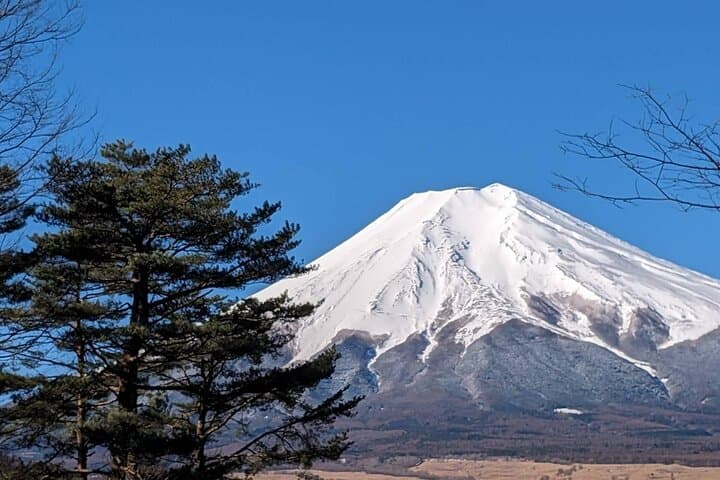 【2026 Summer】Mt. Fuji Private Car Tour from Tokyo with Pro Guide