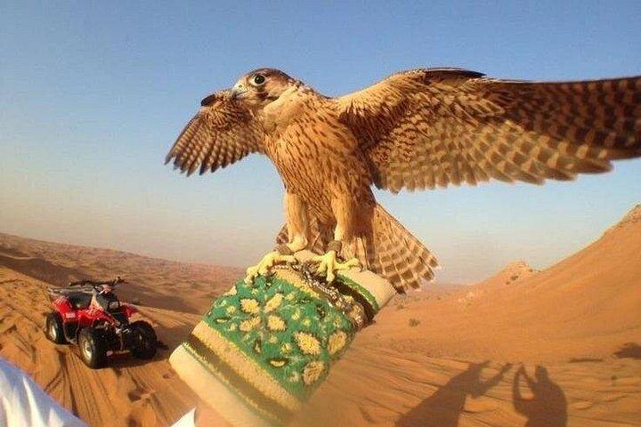 朝砂漠サファリ、ラクダ乗り、砂丘バッシング、サンドスキー、飲み物