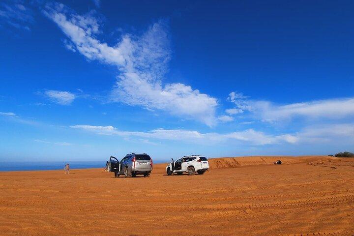 Excursion d'une journée à Agadir ou Taghazout à Tiznit et safari dans le désert