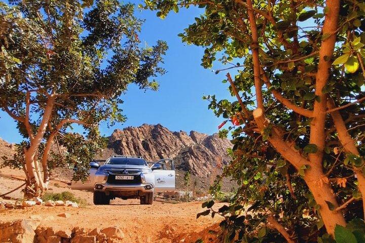 Excursion d'une journée à Agadir ou Taghazout à Tiznit et safari dans le désert