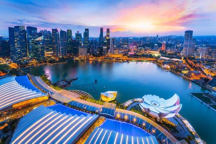 Biglietto per il ponte di osservazione Marina Bay Sands SkyPark a Singapore
