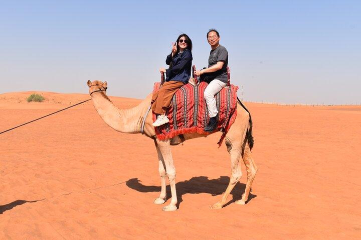 Dubai: Halvdags ørkensafari, kameler og solnedgang