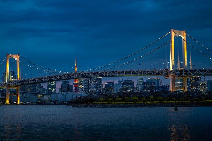 東京ハイライトプライベート全日シティツアー（英語ガイド付き）