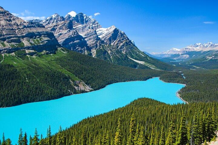 Het beste van gletsjers vanuit Calgary/Canmore/Banff
