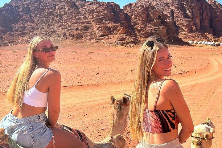 Excursão guiada privada de Petra e Wadi Rum