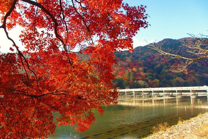 京都バスツアー：嵯峨野鉄道＆保津川遊覧