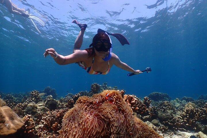 Lazy Similan Snorkelen door Speed Catamaran van Phuket